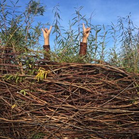 Manos de Alex asomando detrás de un nido gigante